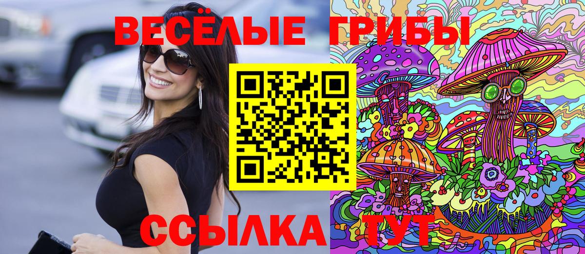 Мурино  Галлюциногенные грибы мицелий  Вход с VPN 